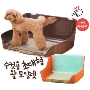 수컷용 왈토일렛