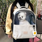 데일리독 편백나무견사 원목cm015