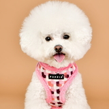 [DOGDAYS] 이태리 수제가죽줄★클래식 가죽목줄+리드줄 세트 브라운(XS~2XL) <font color=＂#0054FF＂> 각인펜던트 무료증정</font>