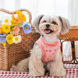 [DOGDAYS] 이태리 수제가죽줄★클래식 가죽목줄+리드줄 세트 브라운(XS~2XL) <font color=＂#0054FF＂> 각인펜던트 무료증정</font>