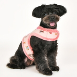 [DOGDAYS] 이태리 수제가죽줄★클래식 가죽목줄+리드줄 세트 브라운(XS~2XL) <font color=＂#0054FF＂> 각인펜던트 무료증정</font>